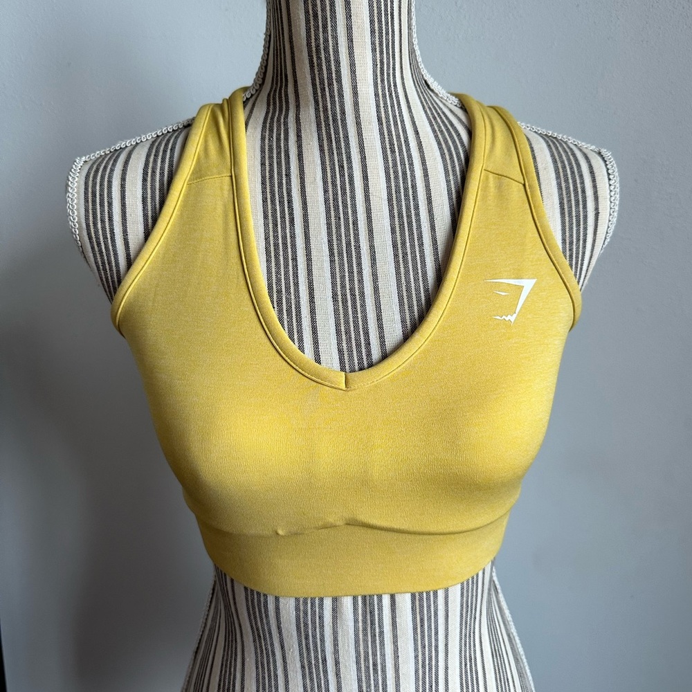 Gymshark Sol Lift Sports Bra (size XS)